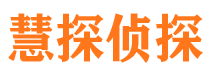 湛河侦探公司